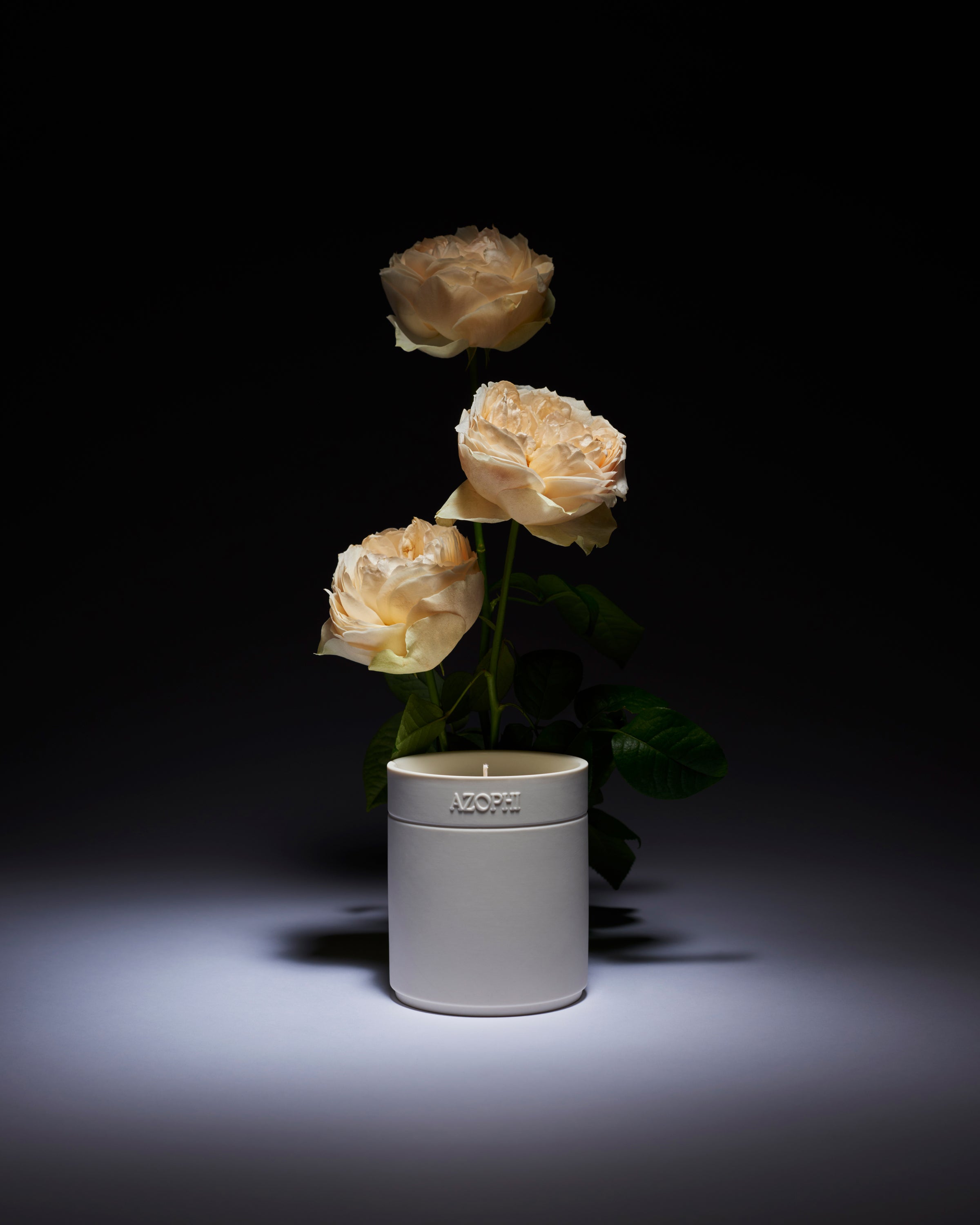 Adhara Rose Candle